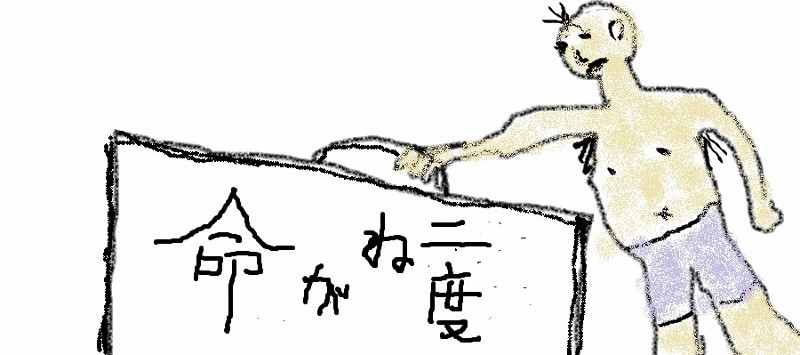 f:id:norasiro:20170729004123j:plain f:id:norasiro:20170729004123j:plain
