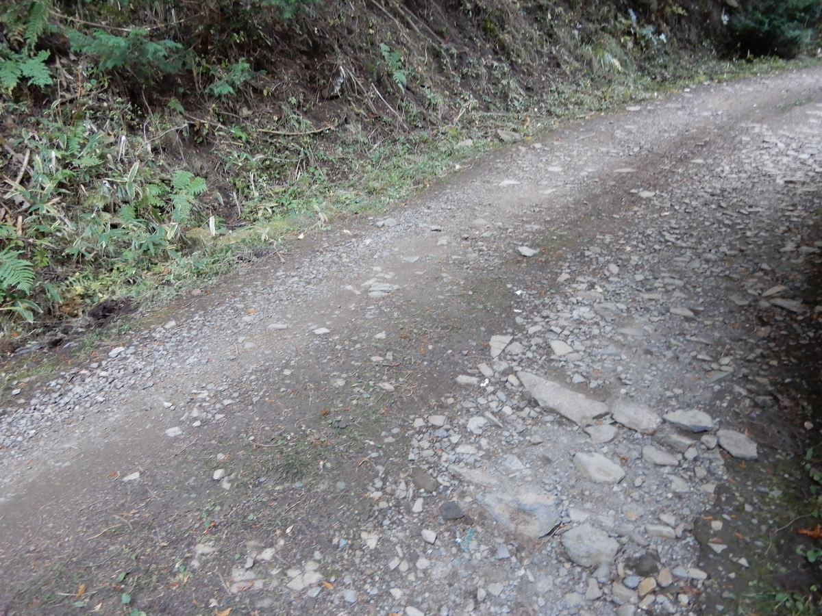 f:id:norehero-19:20211129164223j:plain