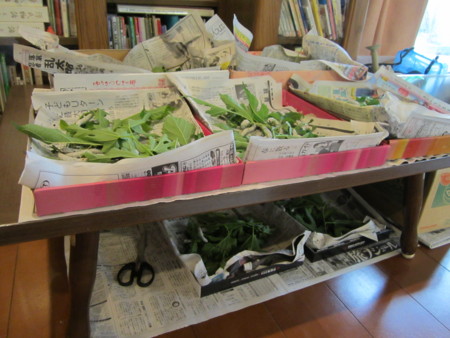 f:id:nori-go:20150516071503j:image f:id:nori-go:20150516071503j:image