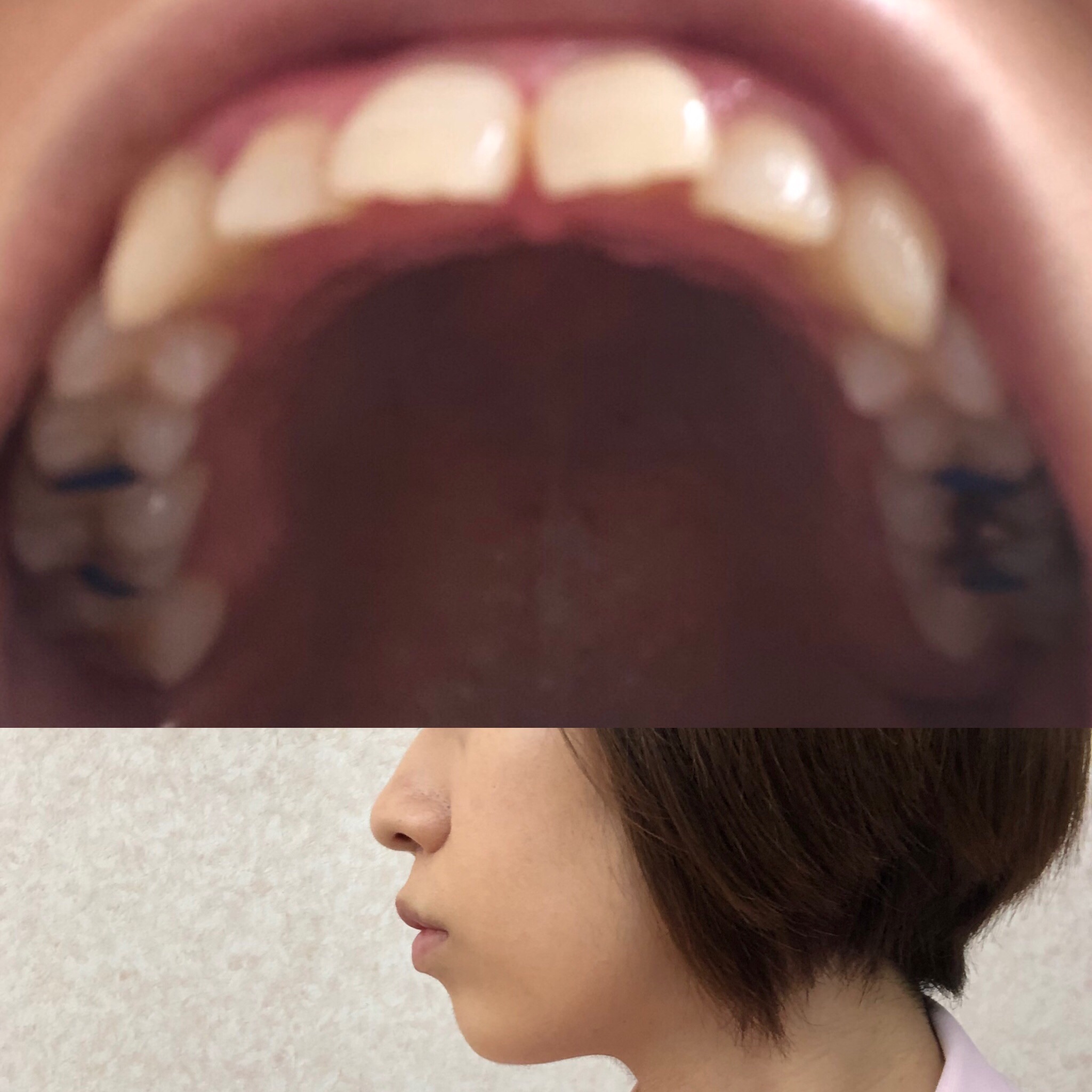 f:id:nori-k-28:20190522143310j:image f:id:nori-k-28:20190522143310j:image