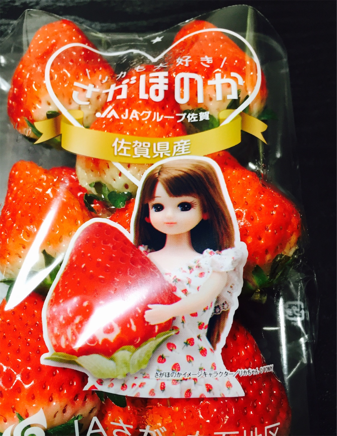 f:id:nori0417:20170228131641j:image