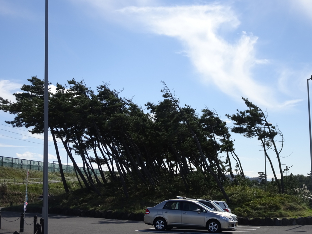 f:id:nori1104:20170726232612j:plain f:id:nori1104:20170726232612j:plain