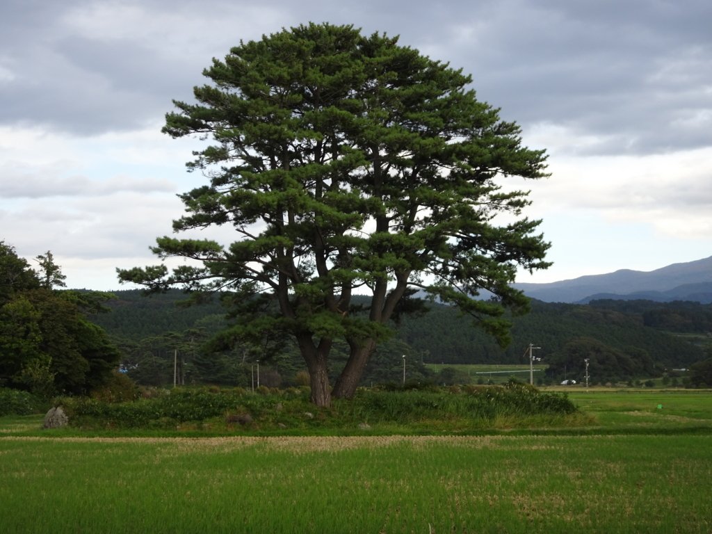 f:id:nori1104:20170729204235j:plain f:id:nori1104:20170729204235j:plain
