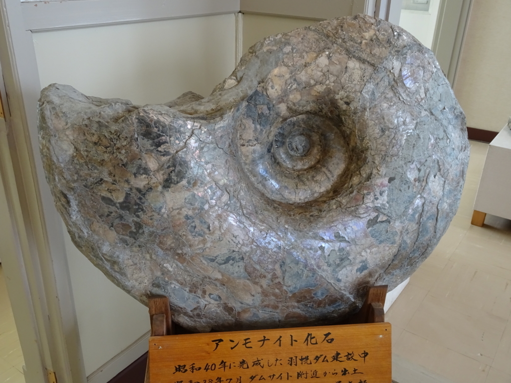 f:id:nori1104:20180114202820j:plain f:id:nori1104:20180114202820j:plain