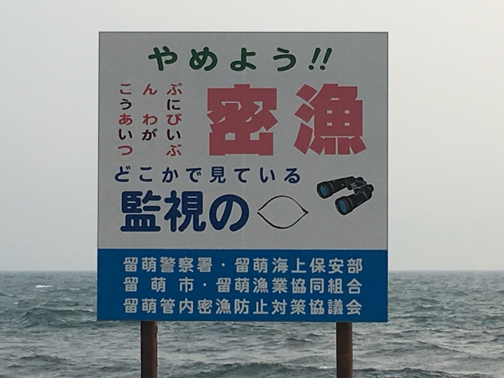 f:id:nori1104:20180114213457j:plain f:id:nori1104:20180114213457j:plain