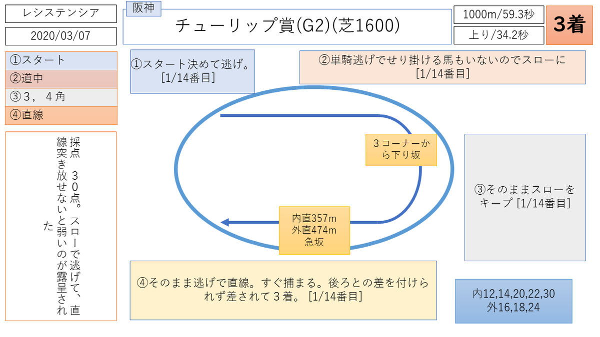 レシステンシア　阪神ＪＦ