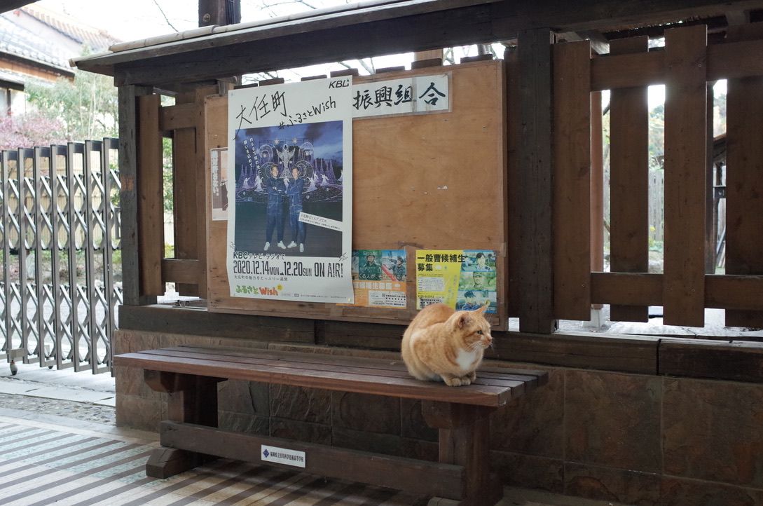f:id:nori7770:20210204003601j:plain