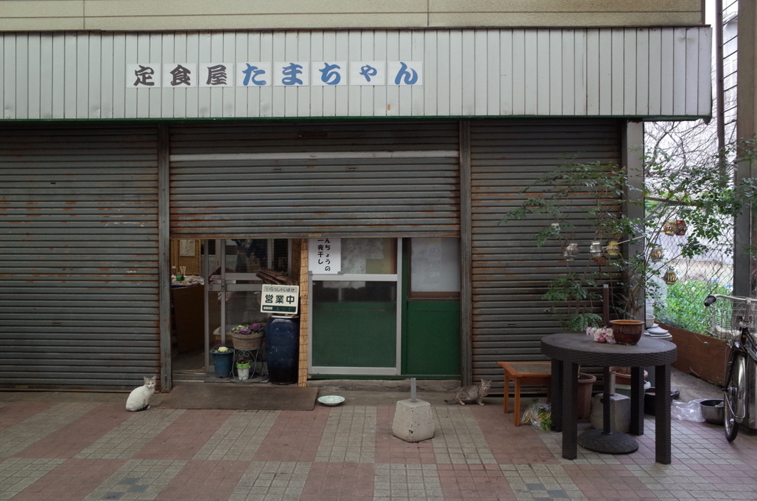 f:id:nori7770:20210215201247j:plain