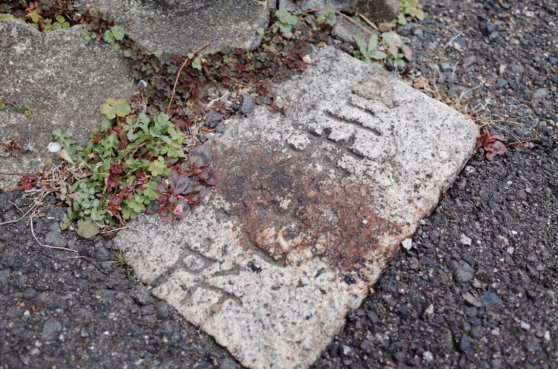 f:id:nori7770:20210304191919j:plain