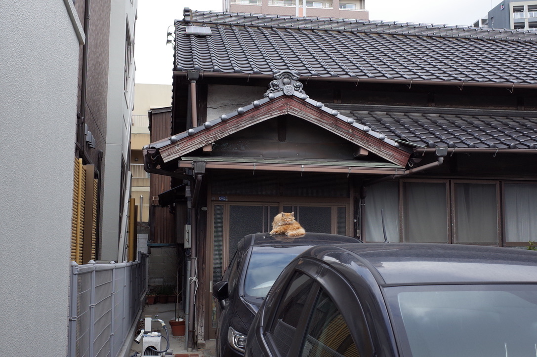 f:id:nori7770:20210309002234j:plain