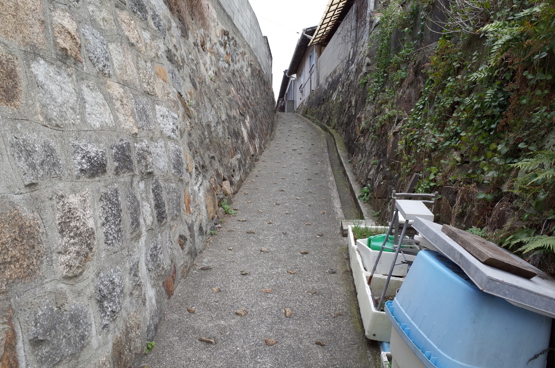 f:id:nori7770:20210329185705j:plain