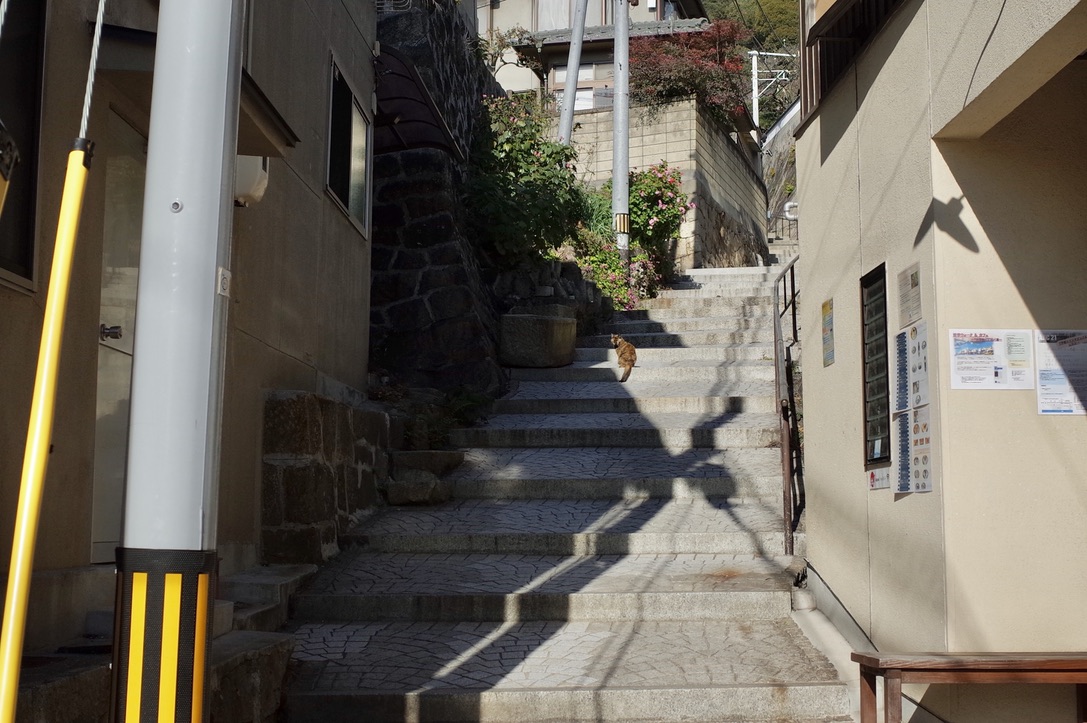 f:id:nori7770:20210405001436j:plain
