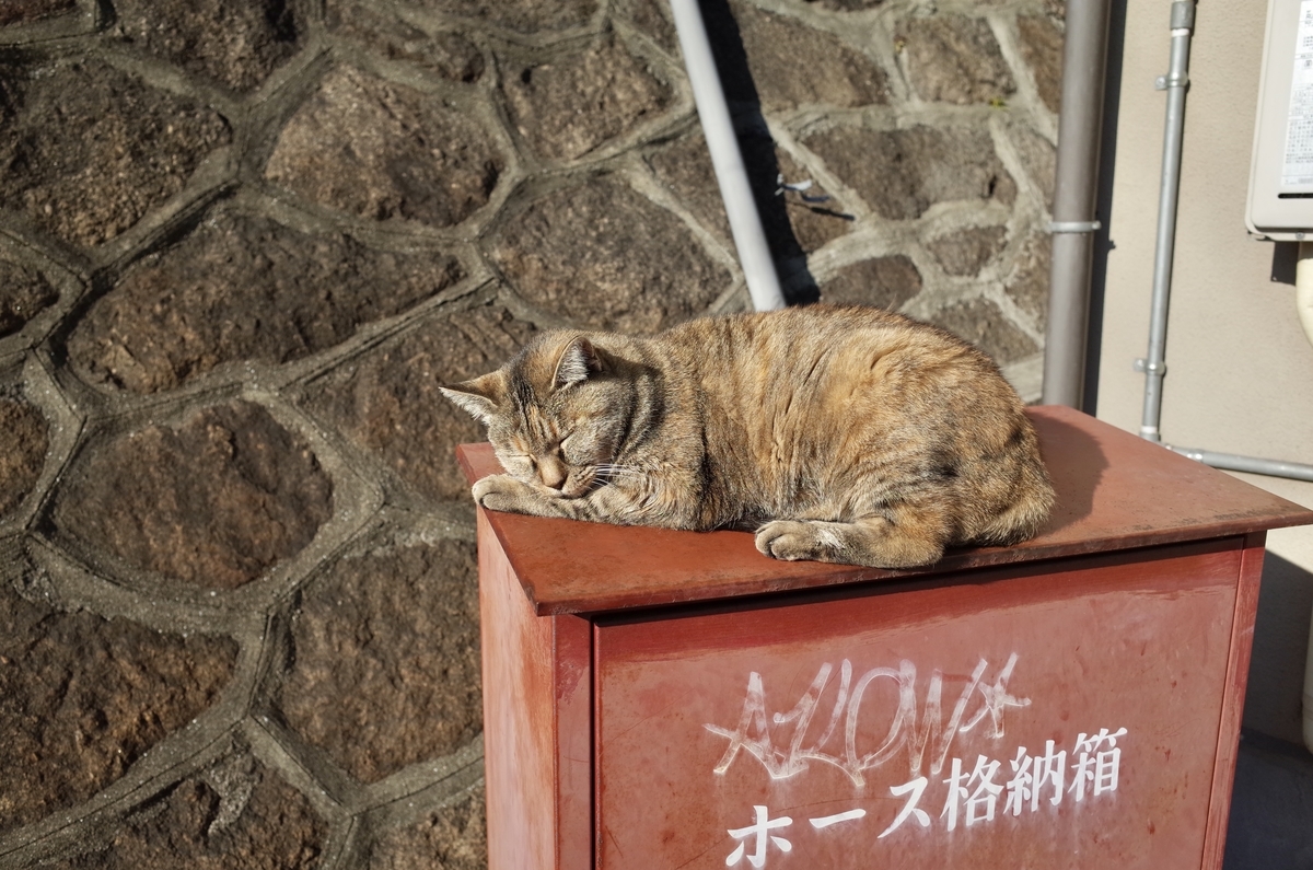 f:id:nori7770:20210405195528j:plain