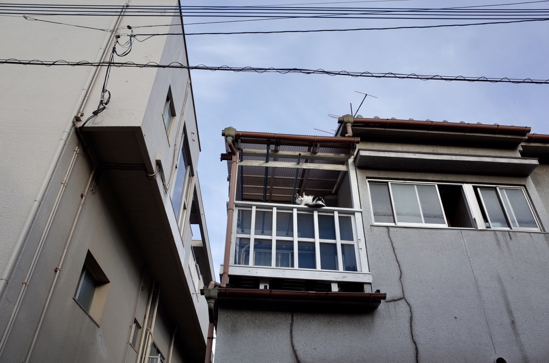 f:id:nori7770:20210520213334j:plain