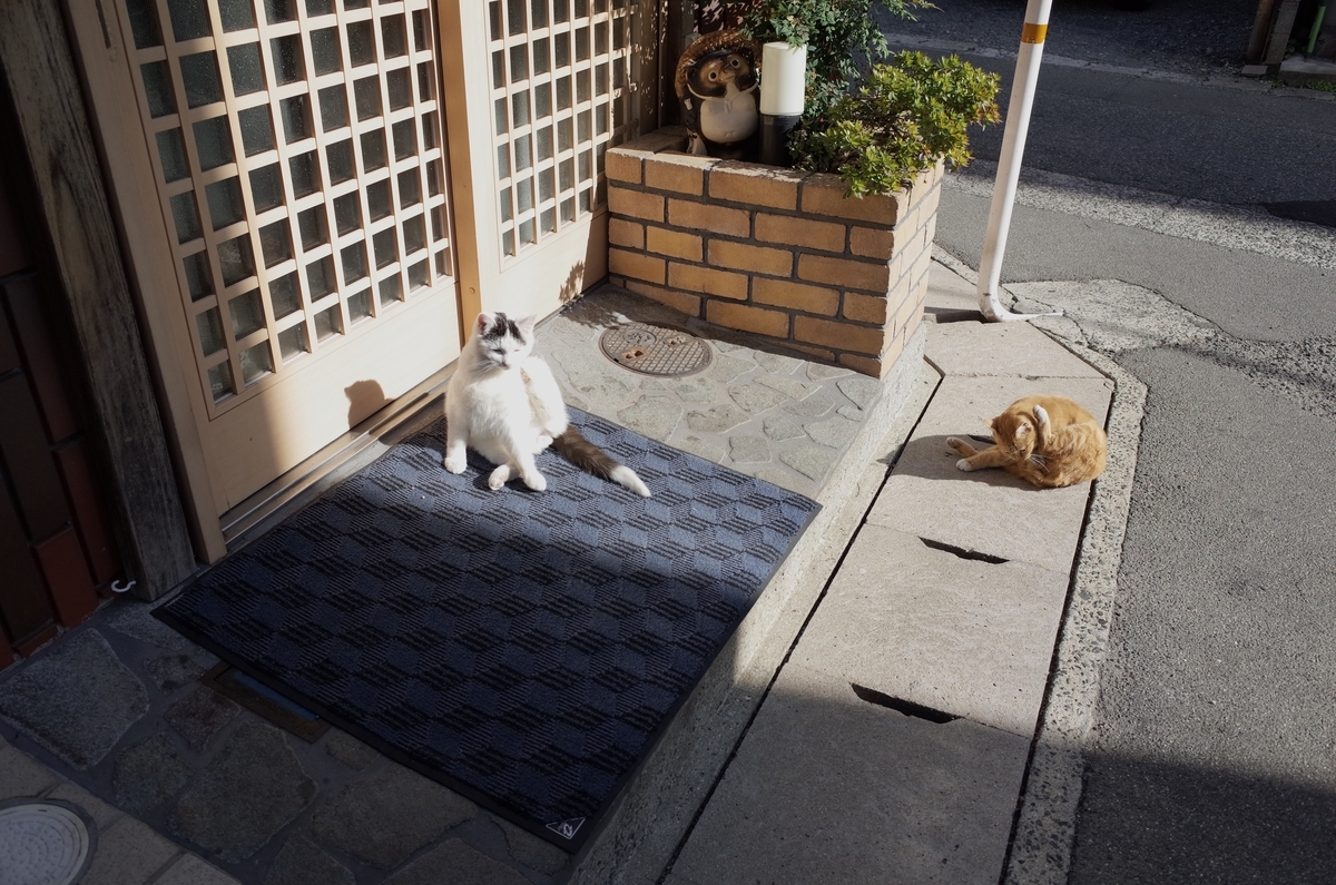 f:id:nori7770:20210603205203j:plain