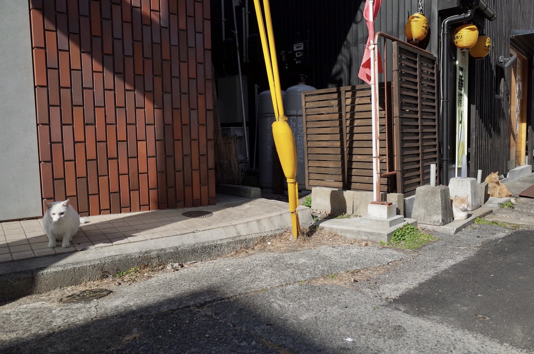 f:id:nori7770:20210603210519j:plain