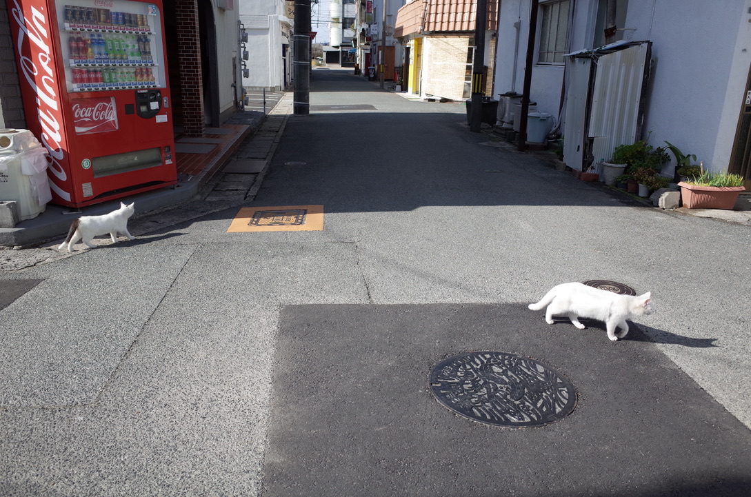 f:id:nori7770:20210603210549j:plain