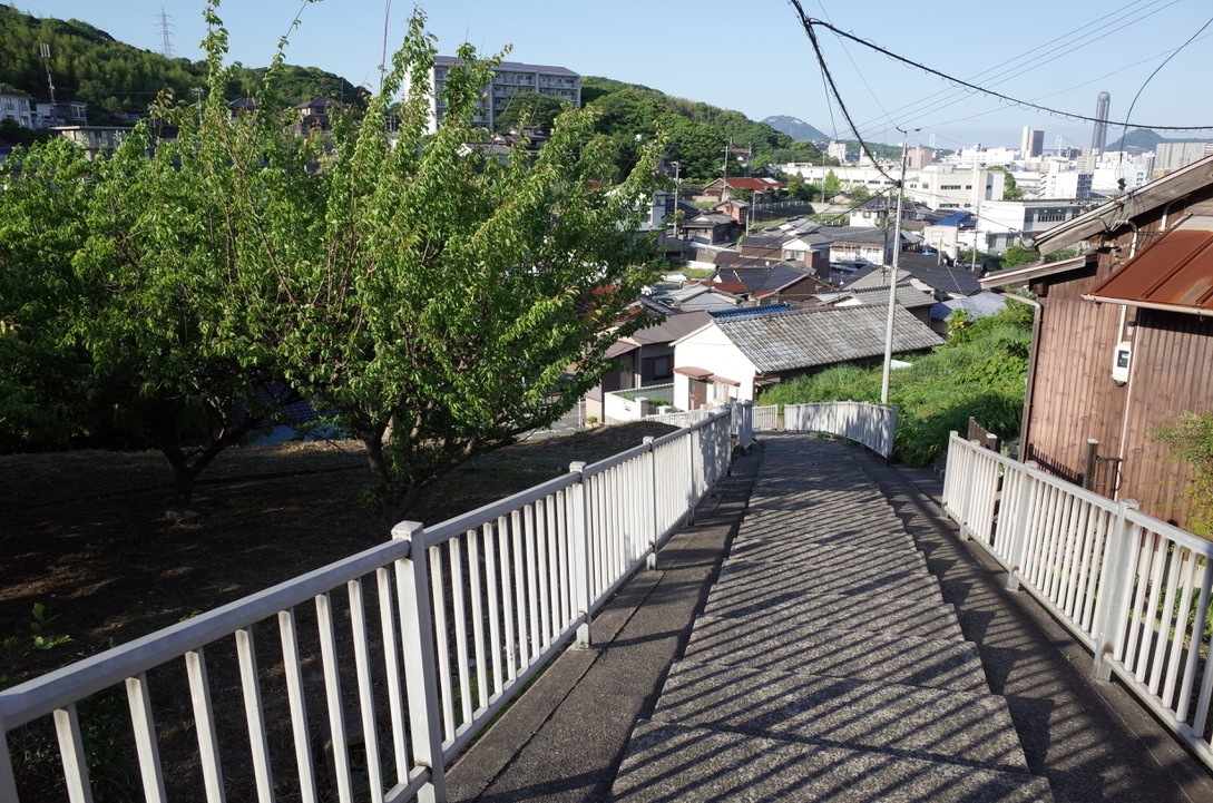 f:id:nori7770:20210604153227j:plain