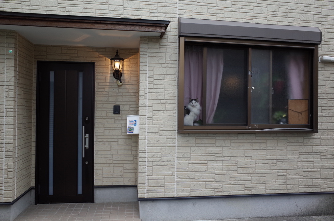 f:id:nori7770:20210720001149j:plain