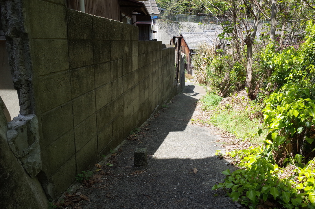 f:id:nori7770:20210801224937j:plain