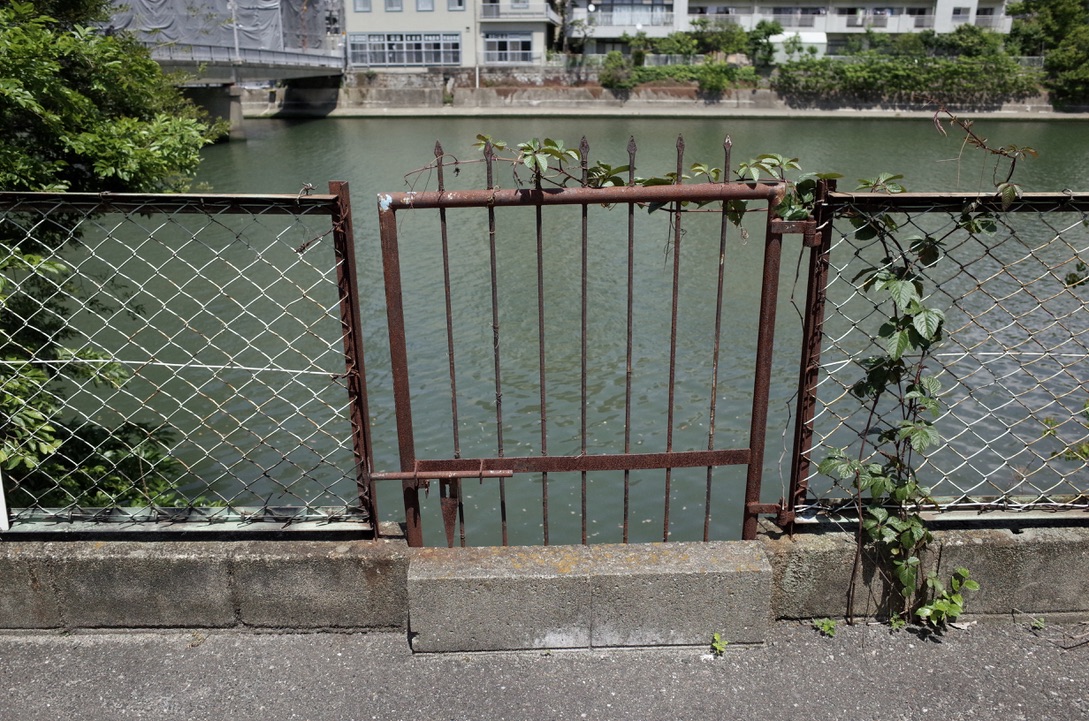 f:id:nori7770:20210812223436j:plain