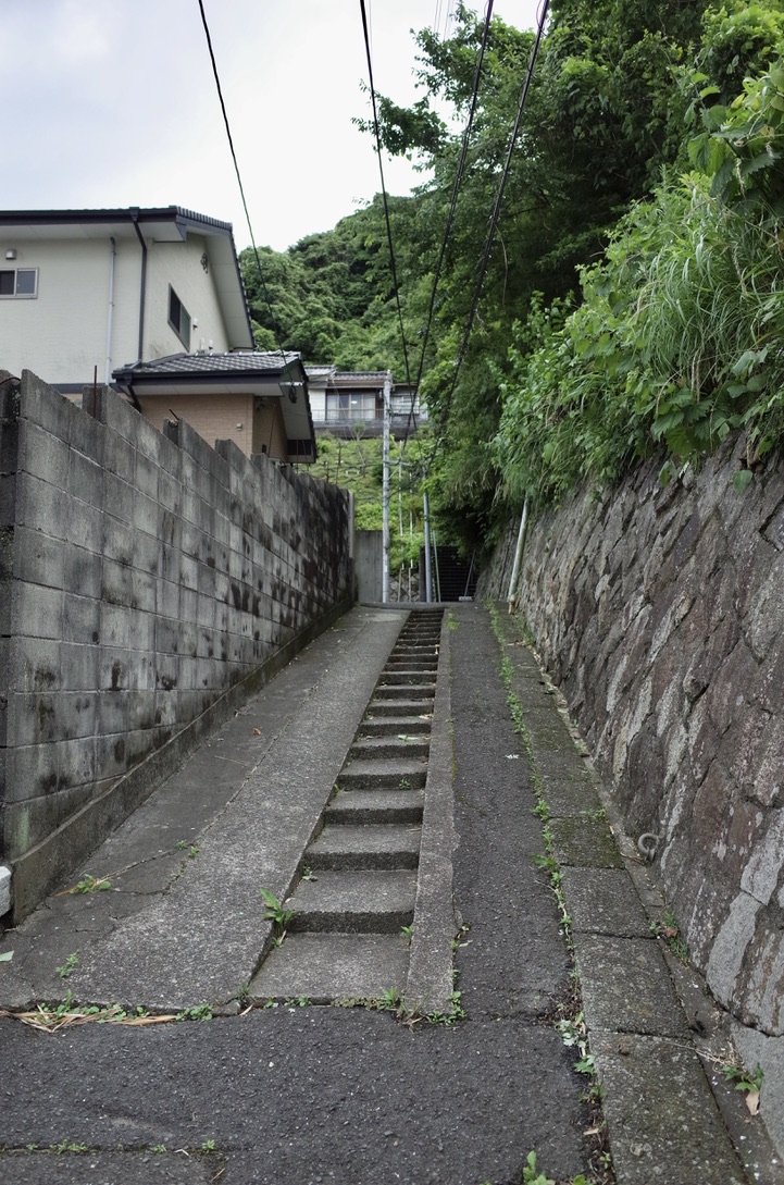 f:id:nori7770:20210902003123j:plain