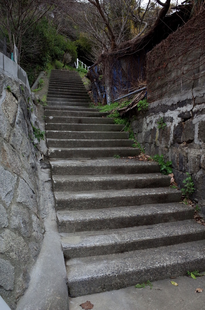 f:id:nori7770:20210902214225j:plain