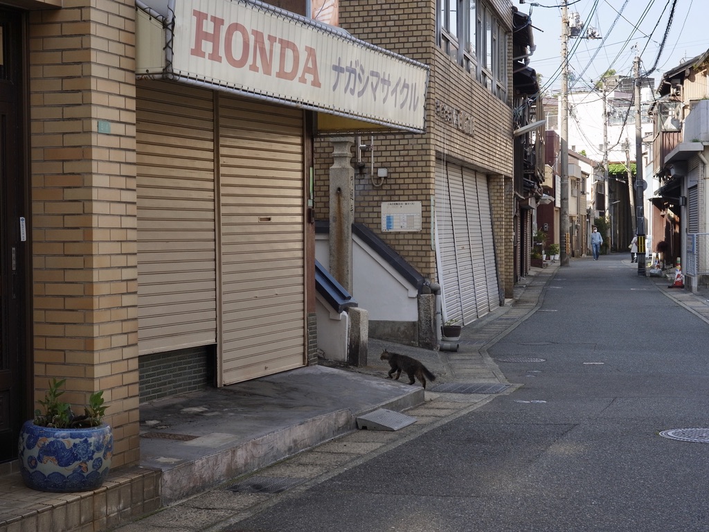 f:id:nori7770:20210905235917j:plain