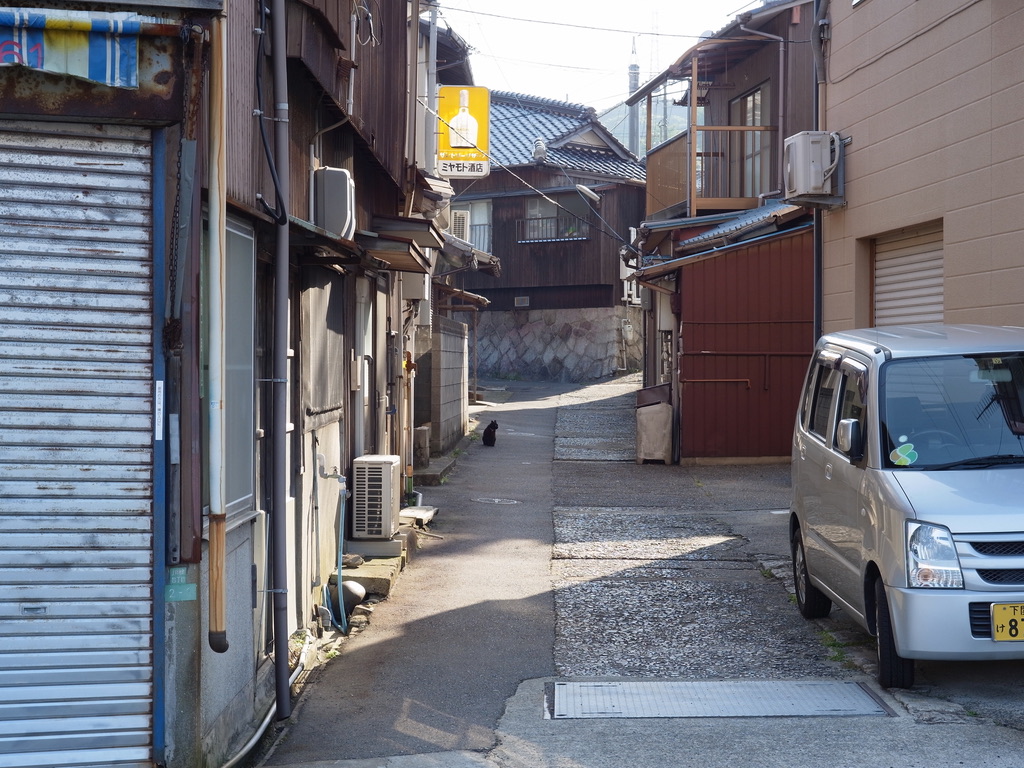 f:id:nori7770:20210908231335j:plain