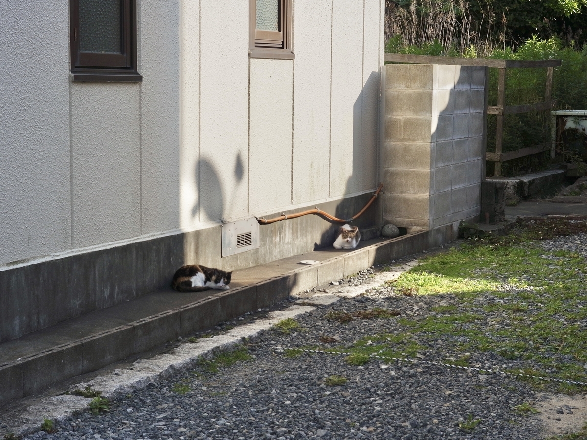 f:id:nori7770:20210908231511j:plain