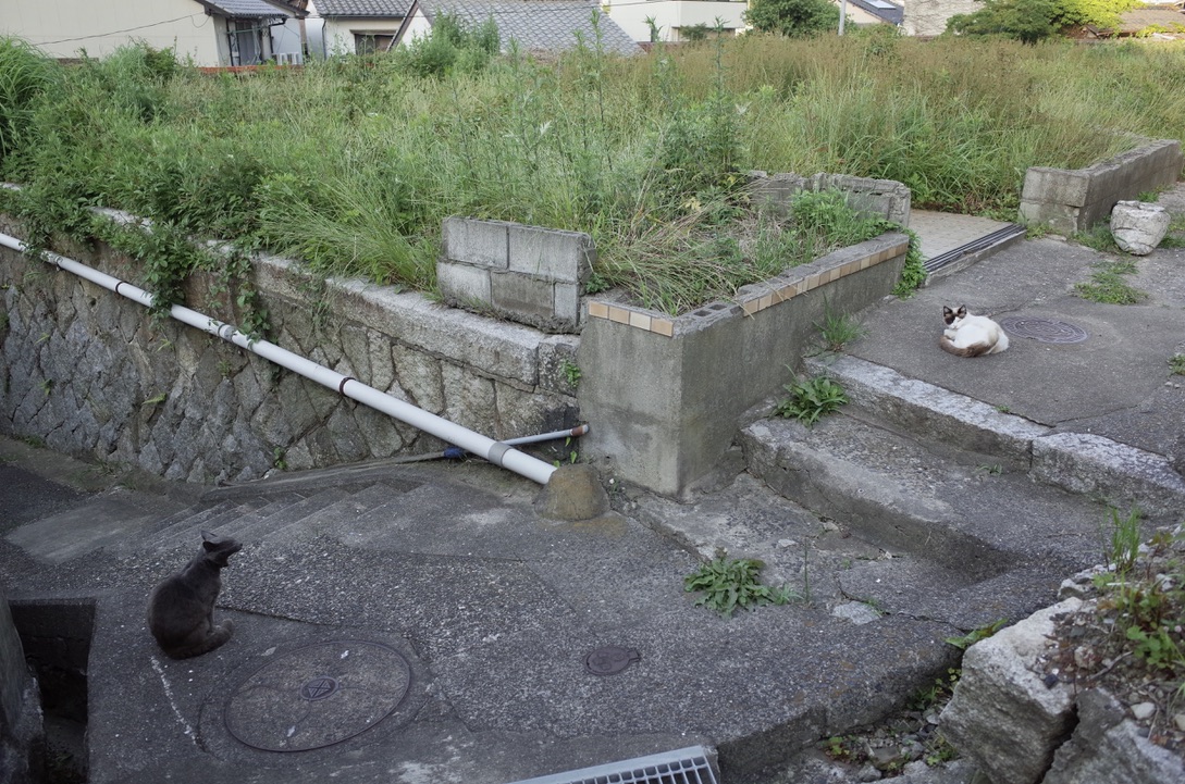 f:id:nori7770:20210912234907j:plain