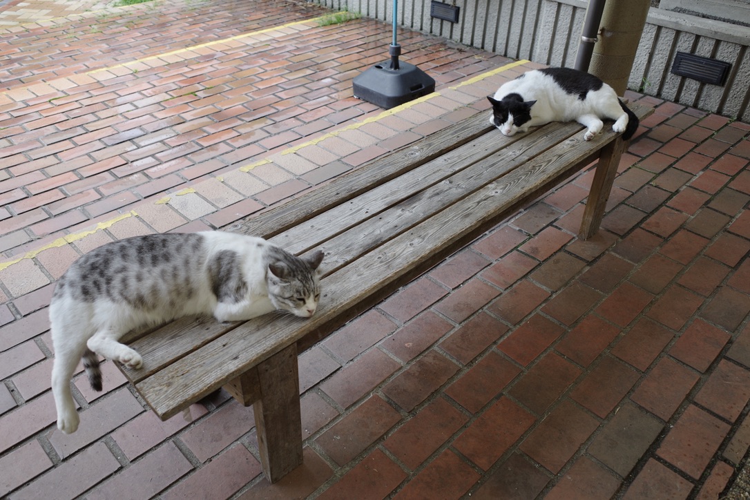 f:id:nori7770:20211007232438j:plain