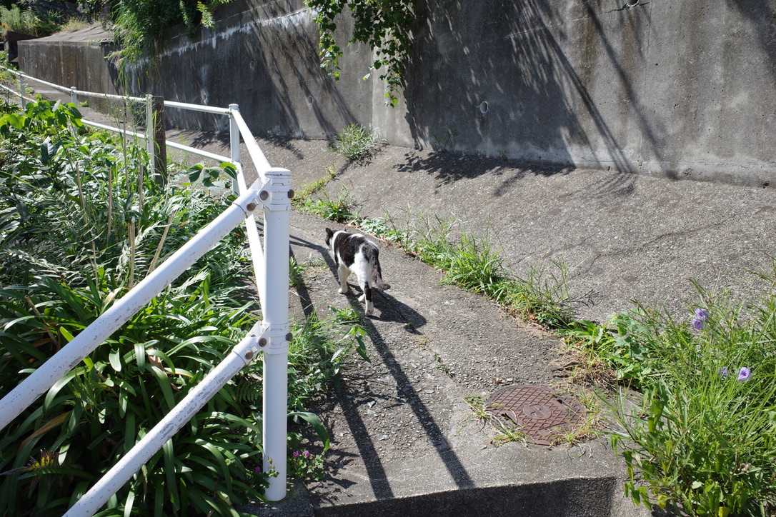 f:id:nori7770:20211021001443j:plain