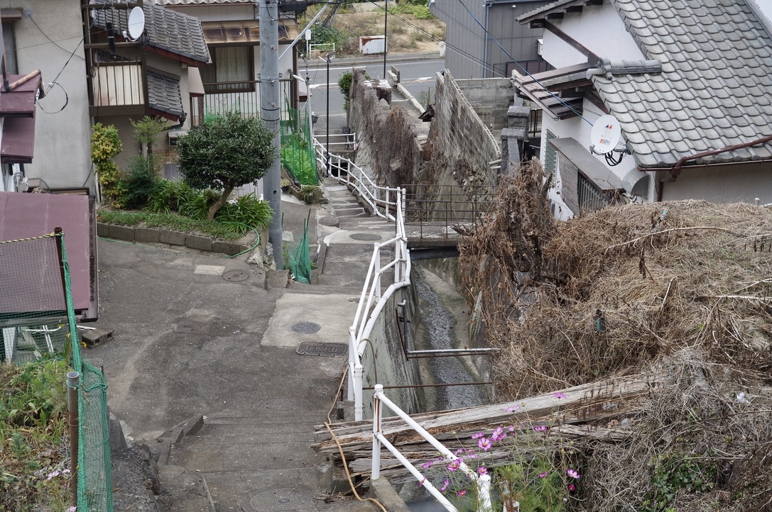 f:id:nori7770:20211205005358j:plain