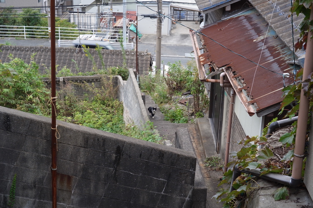 f:id:nori7770:20211205095824j:plain
