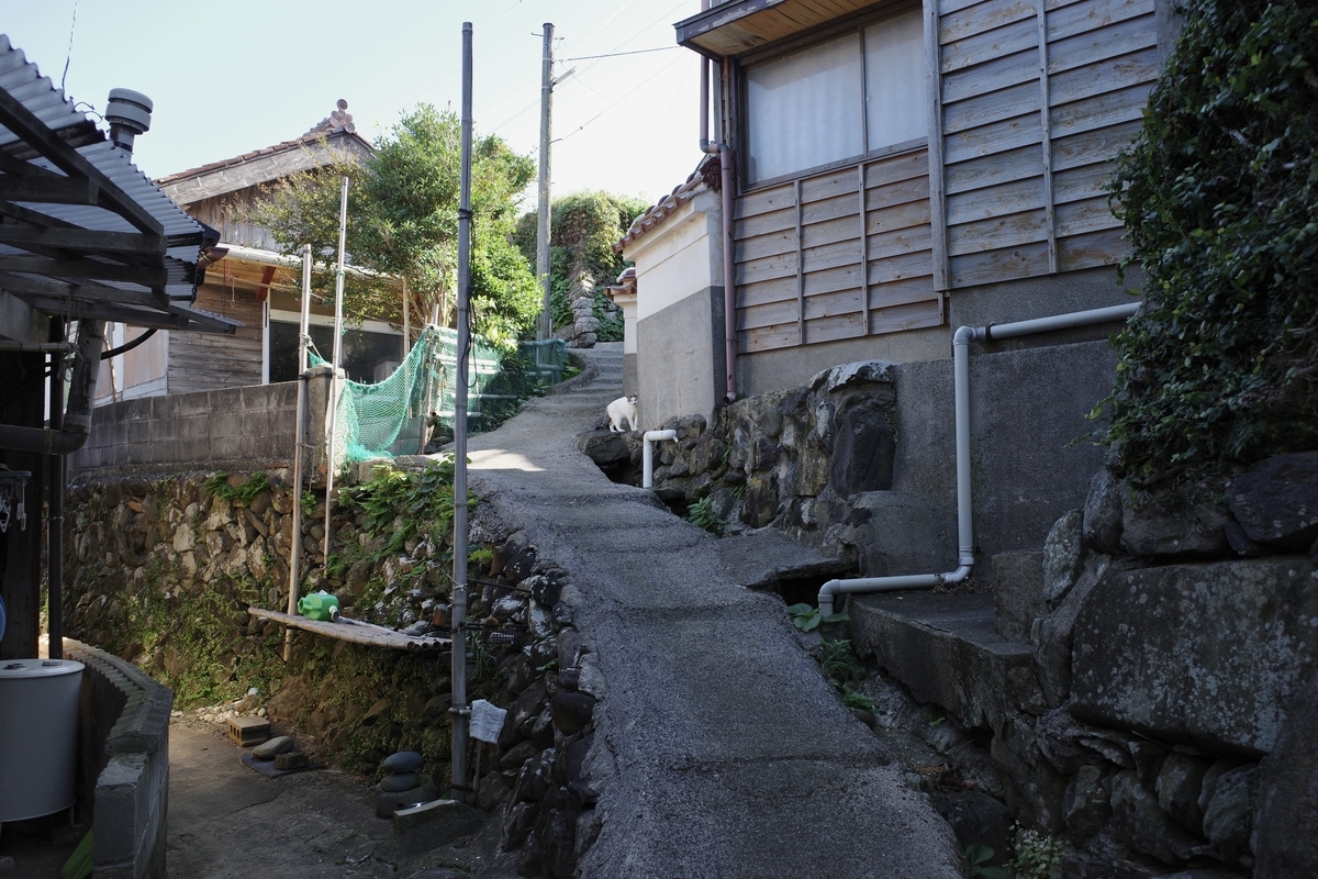 f:id:nori7770:20220106234725j:plain