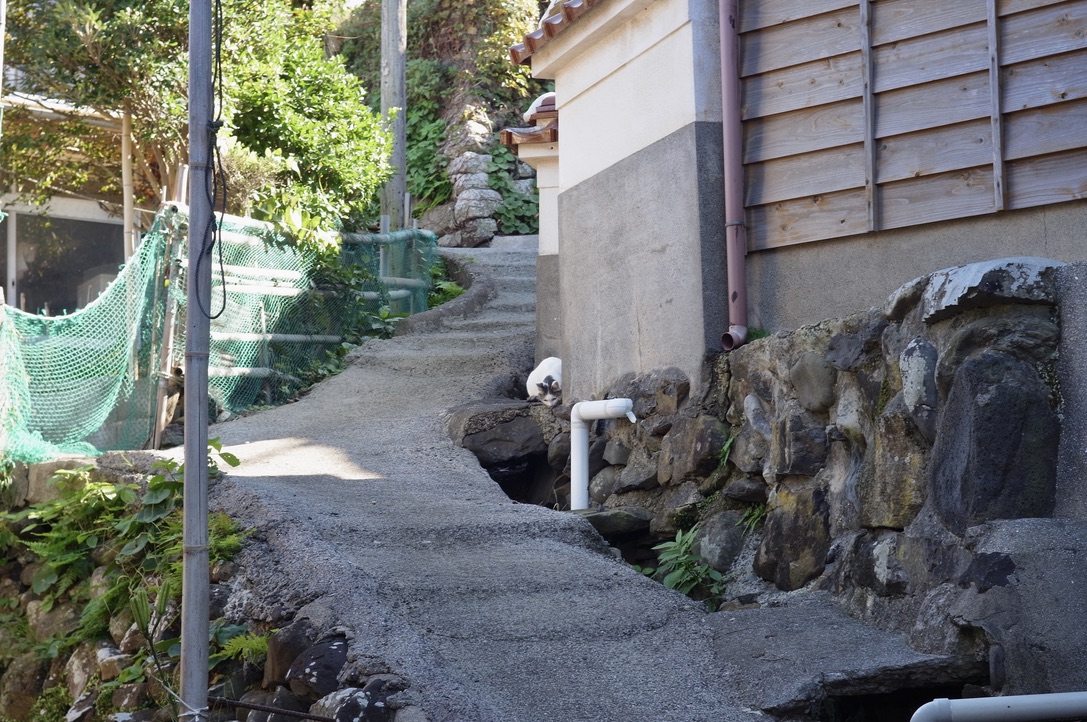 f:id:nori7770:20220106234811j:plain