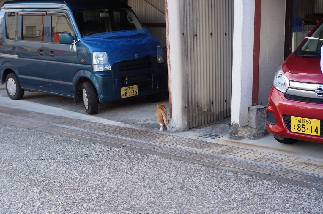 f:id:nori7770:20220209231607j:plain