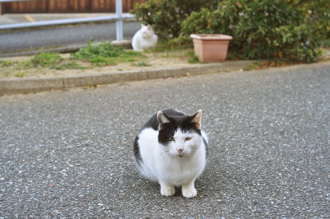 f:id:nori7770:20220302002128j:plain