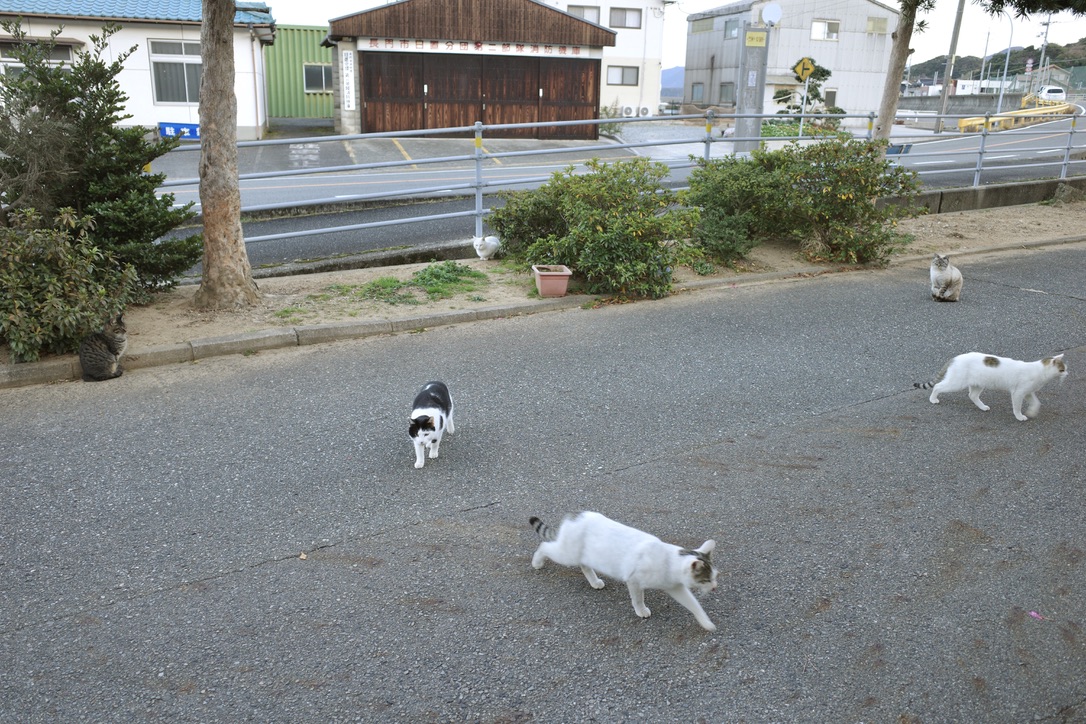 f:id:nori7770:20220302002228j:plain