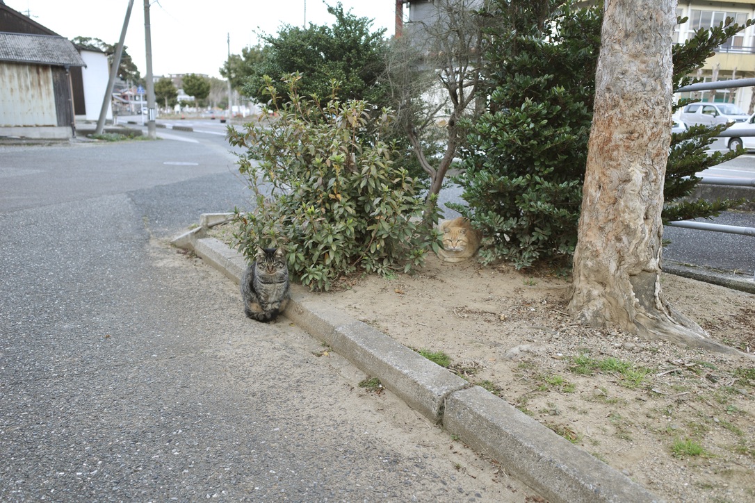 f:id:nori7770:20220302002327j:plain