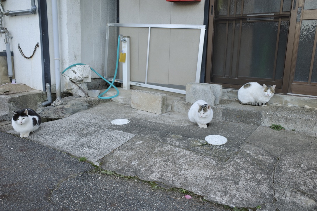 f:id:nori7770:20220302002504j:plain