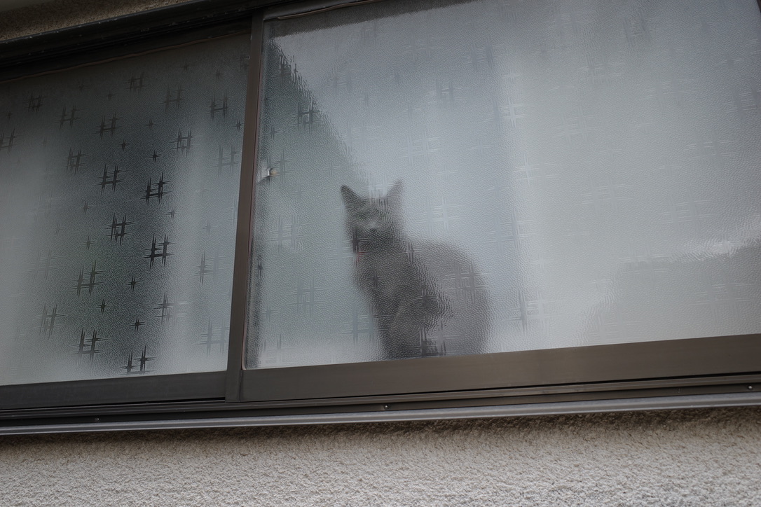 f:id:nori7770:20220322222010j:plain