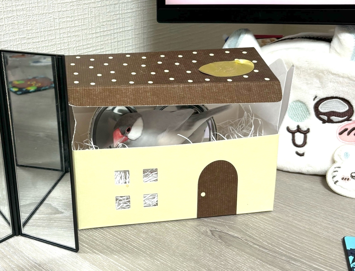 toyopi2つ目の写真：デスク上で文鳥が箱に中に入っている写真