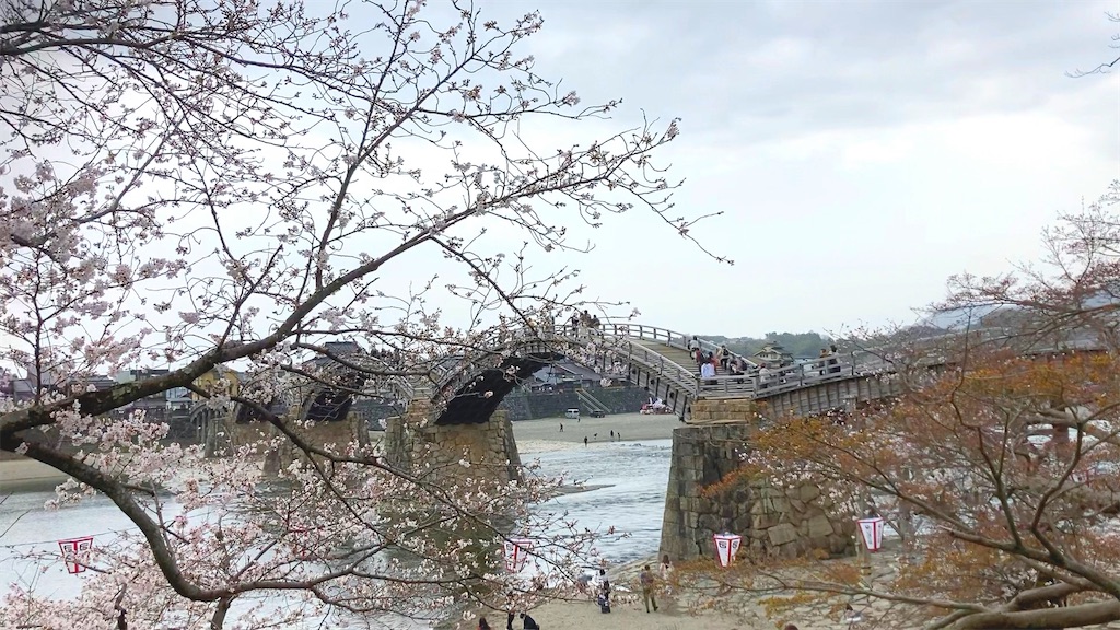 f:id:nori_mama:20230626220118j:image f:id:nori_mama:20230626220118j:image