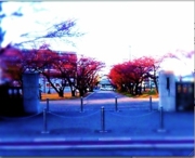 f:id:noriaky111:20100619190119j:image