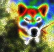 f:id:noriaky111:20110206011204j:image