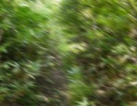 f:id:noriaky111:20110206011239j:image