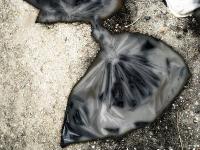 f:id:noriaky111:20110206012022j:image
