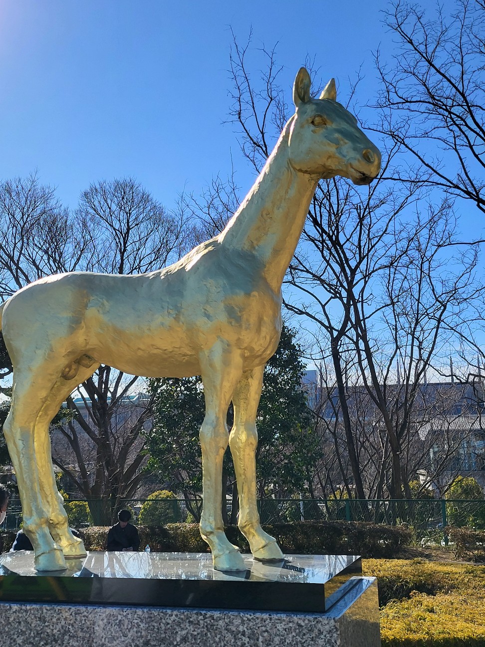 f:id:norib:20251129210904j:image